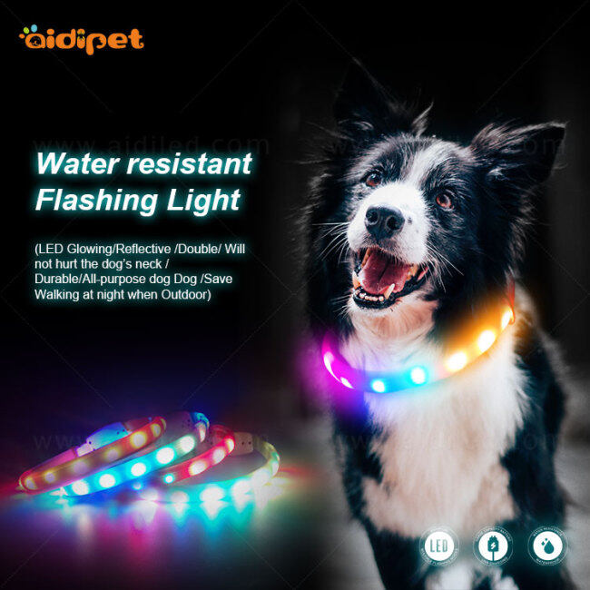 Eco-friendly Pet Supplies Mesh Led Dog Collar with Light on sale  march event